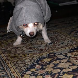 Meet your Posher, Kyle